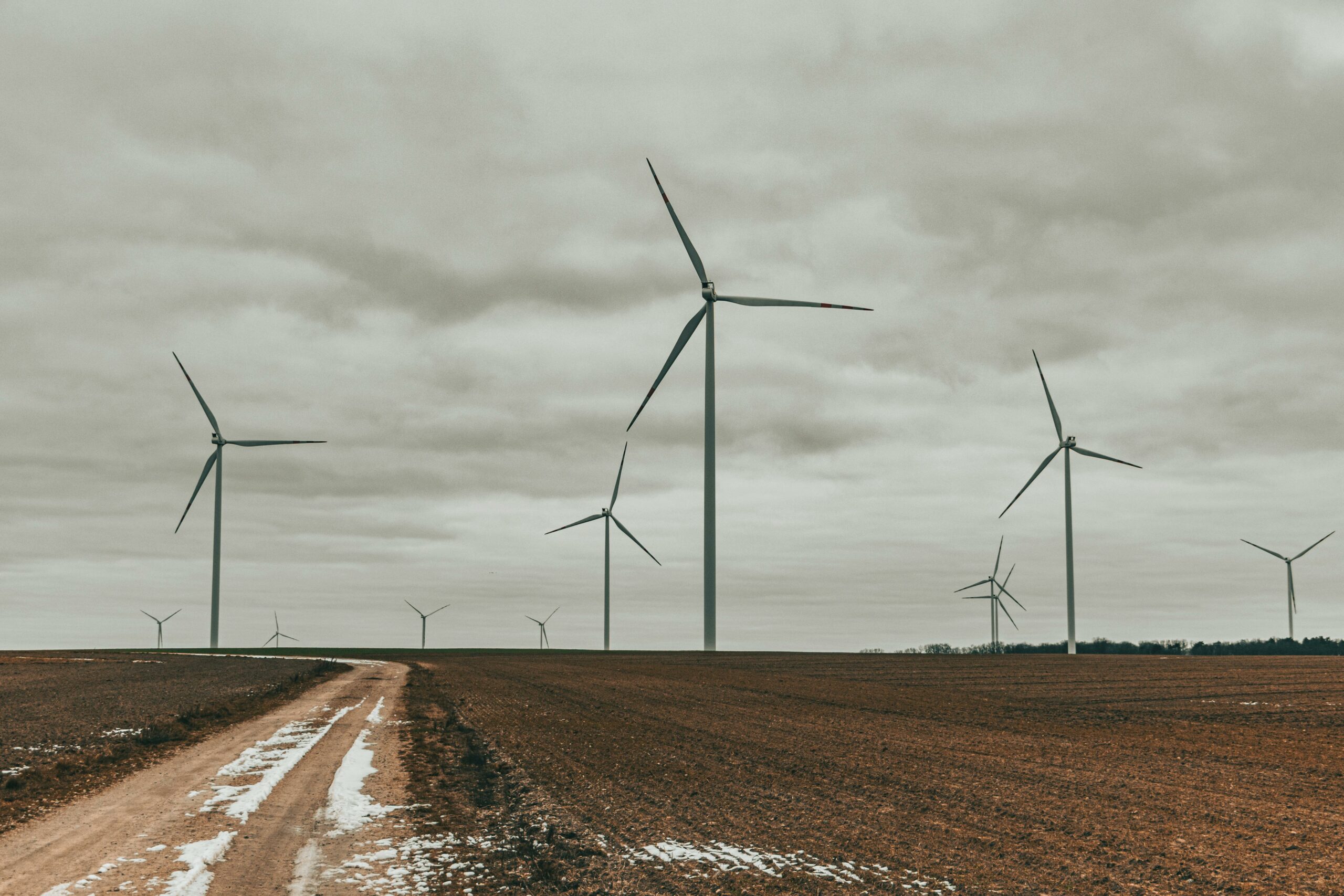 L’importance des énergies renouvelables dans la transition écologique