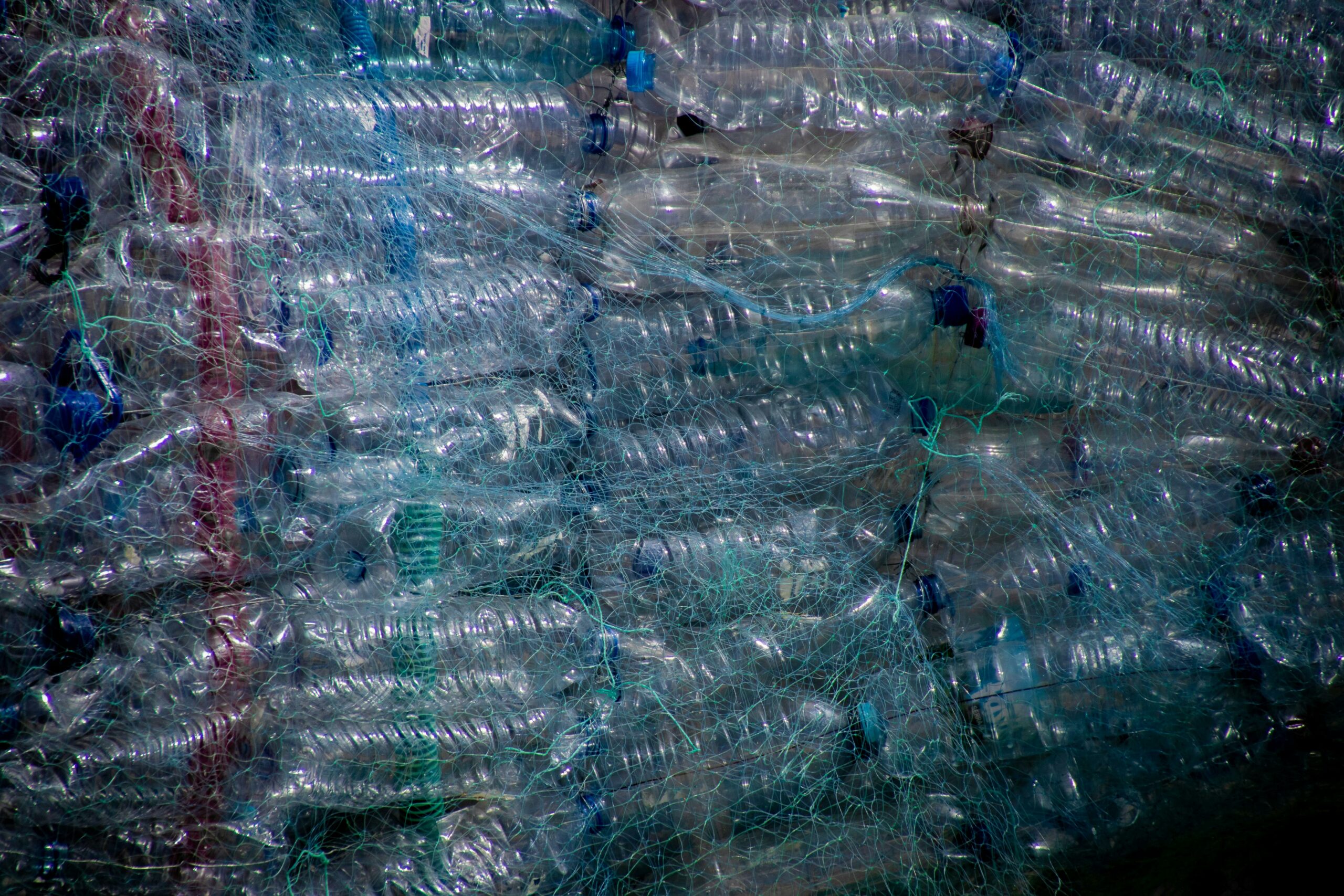 Comment réduire et recycler ses déchets efficacement